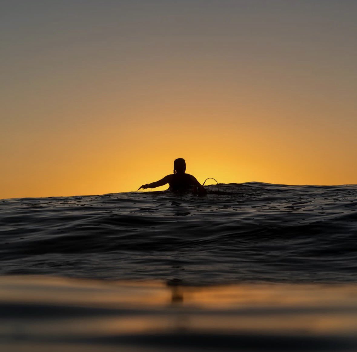 Sally Fitzgibbons tweet media