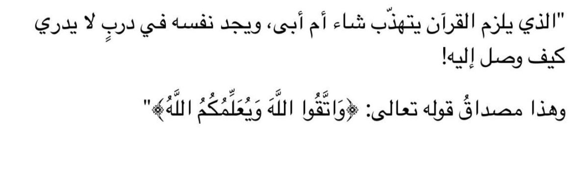 ⪩•⪨ tweet media