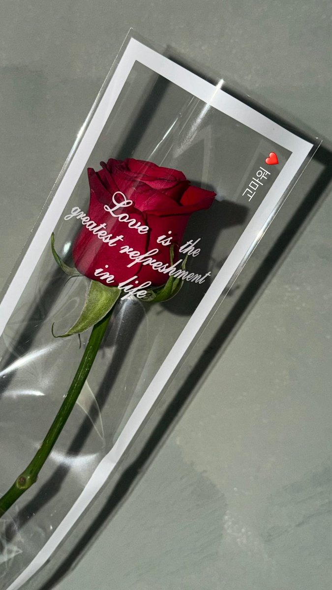 PORTAL CRAVITY tweet media