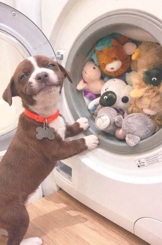 바비킴 tweet media