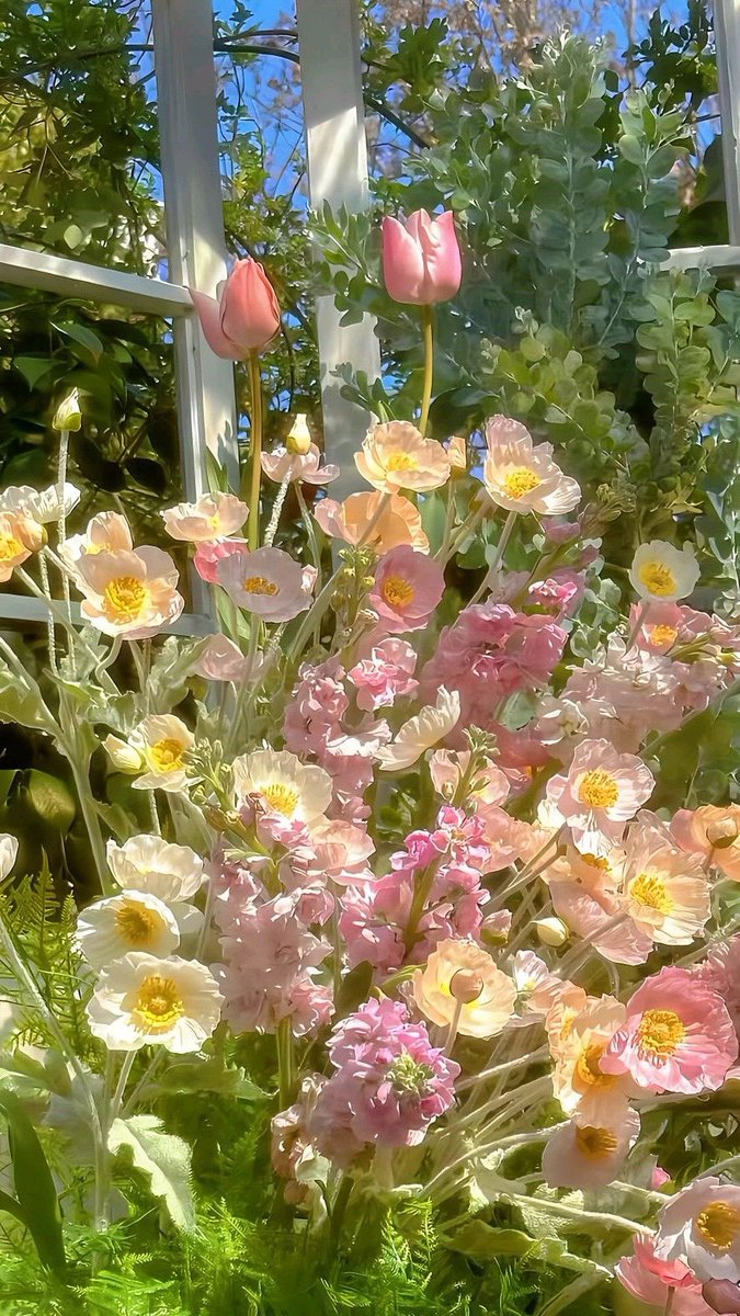 바비킴 tweet media