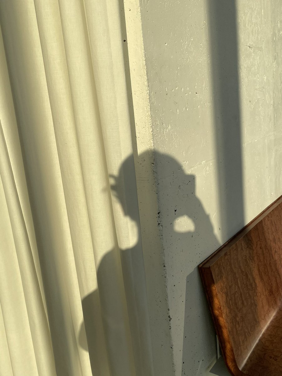 바비킴 tweet media