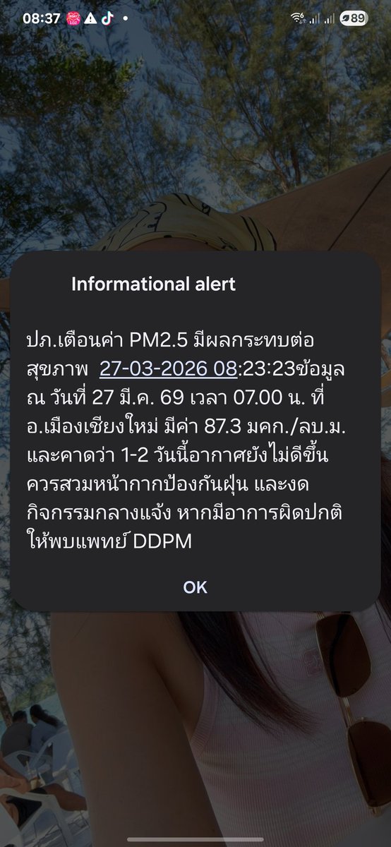 เหมียวจ๋องหม๋องเจี๋ยว tweet media