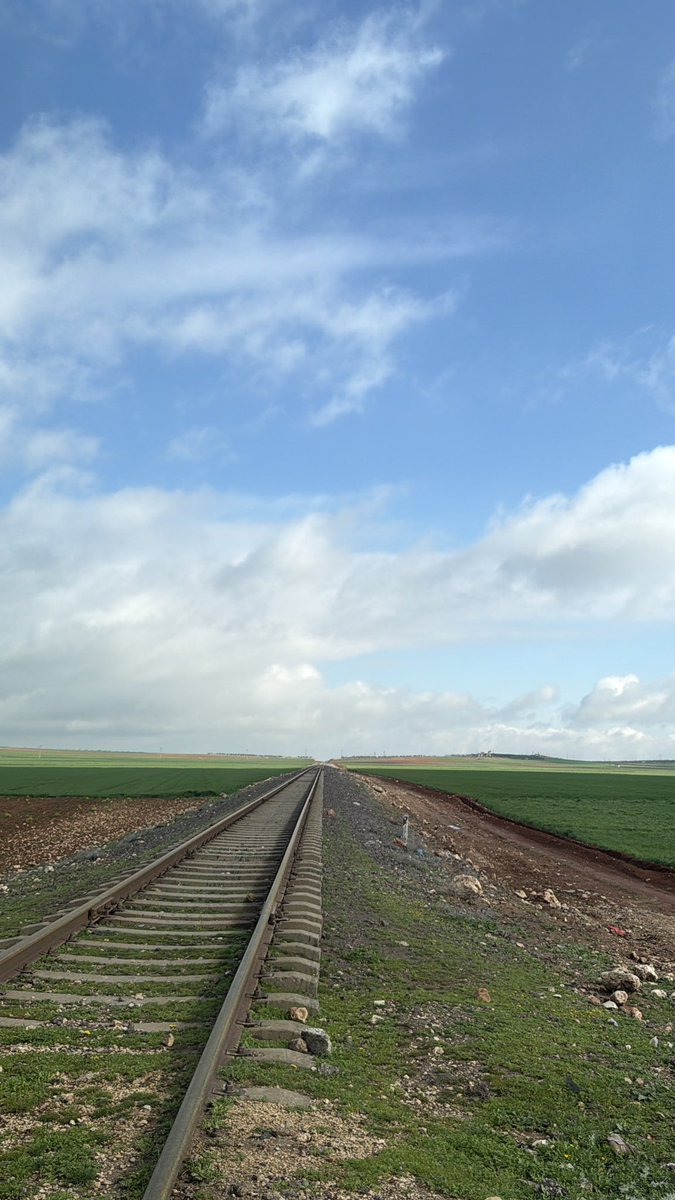 🇸🇾 tweet media