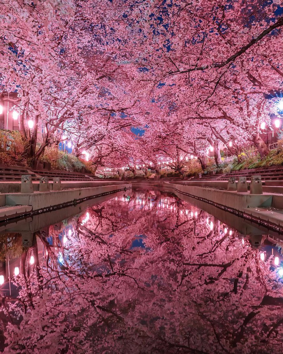 serenity tweet media