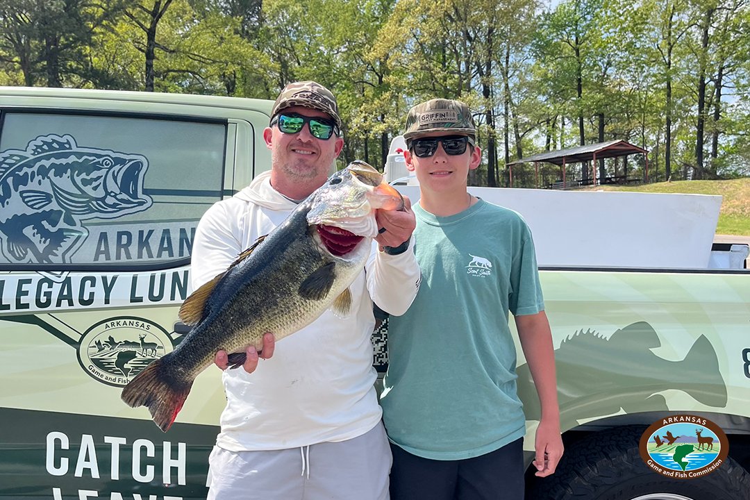 Arkansas Game and Fish Commission tweet media