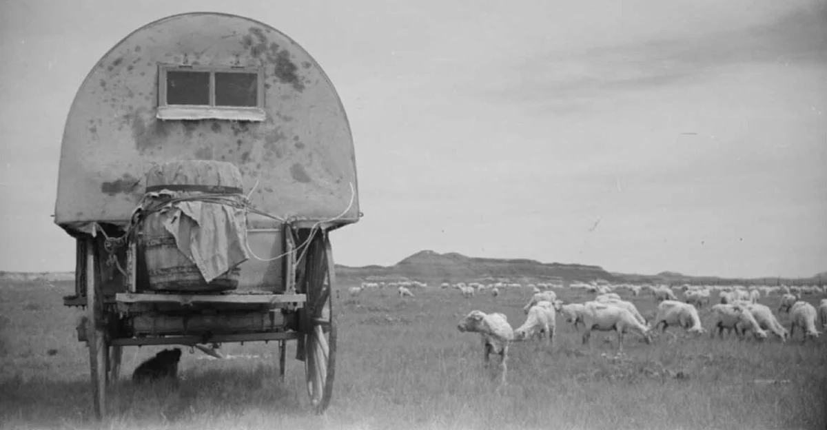 Thirza Peevey tweet media