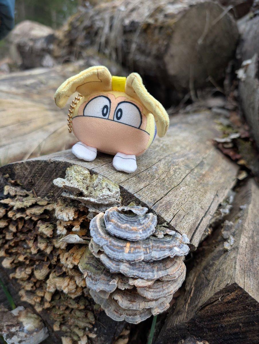 #Rayman went to the forest with me :3