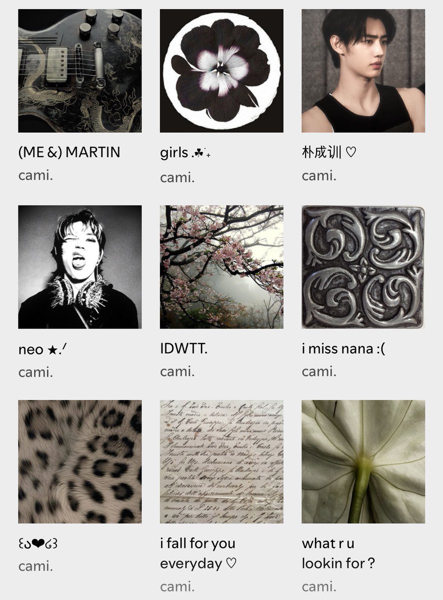 cami ⠞✿͙ tweet media