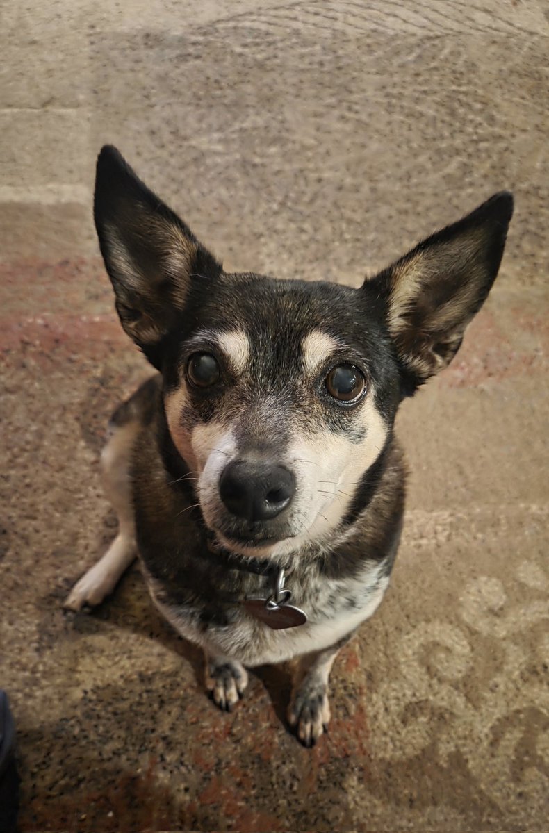 🔪 Slayman SFX 🔪 tweet media