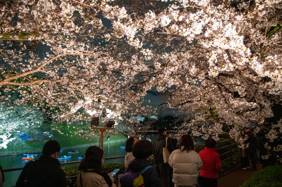 千代田区 tweet media