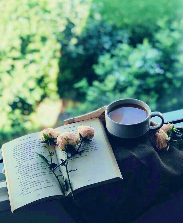 رواء.. tweet media