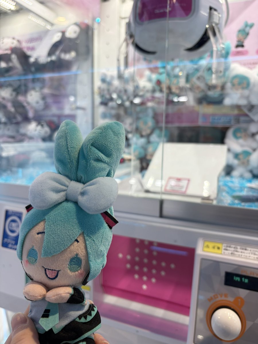 四葩(よひら) tweet media