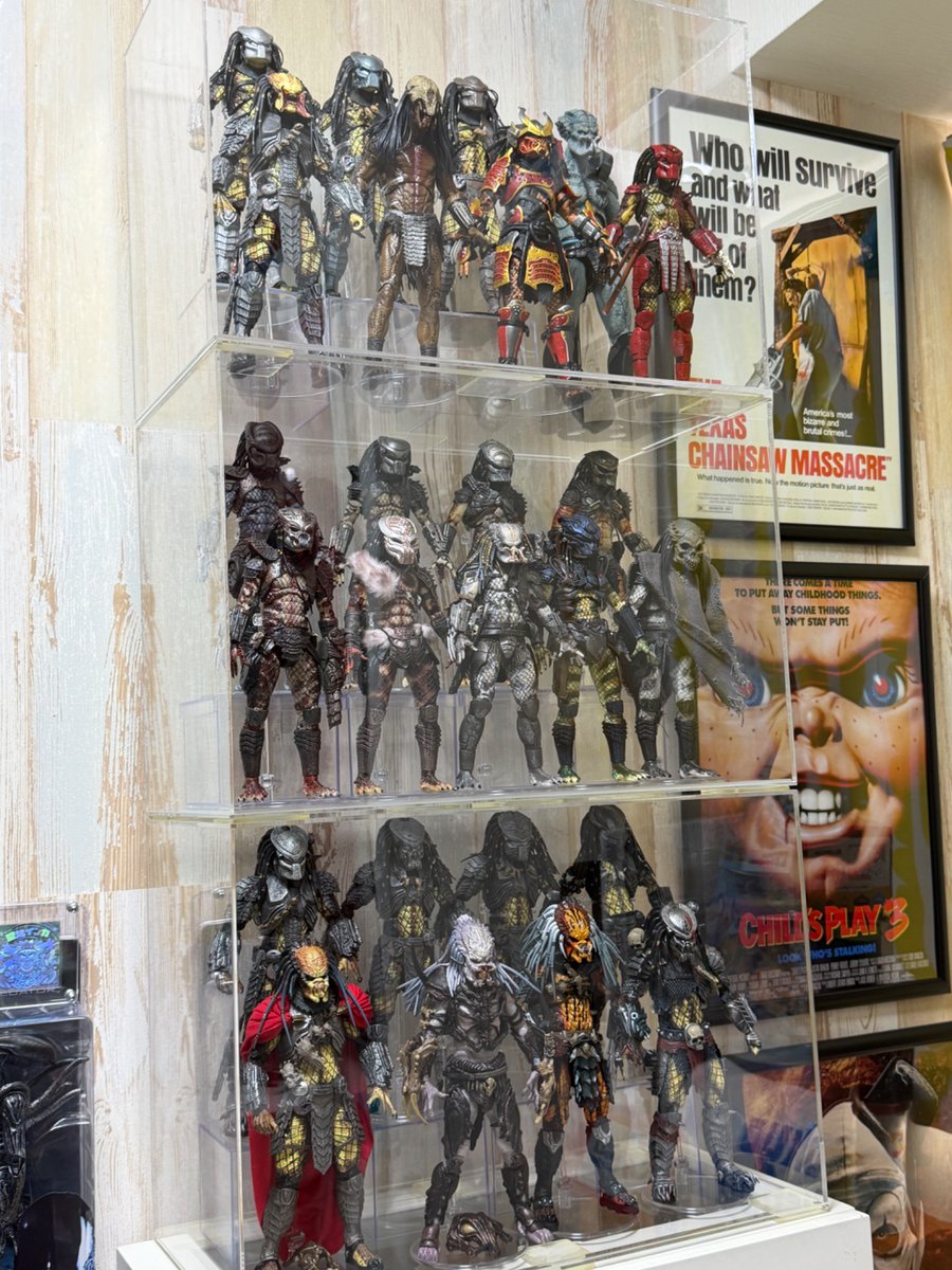 コレクター(Jason) tweet media