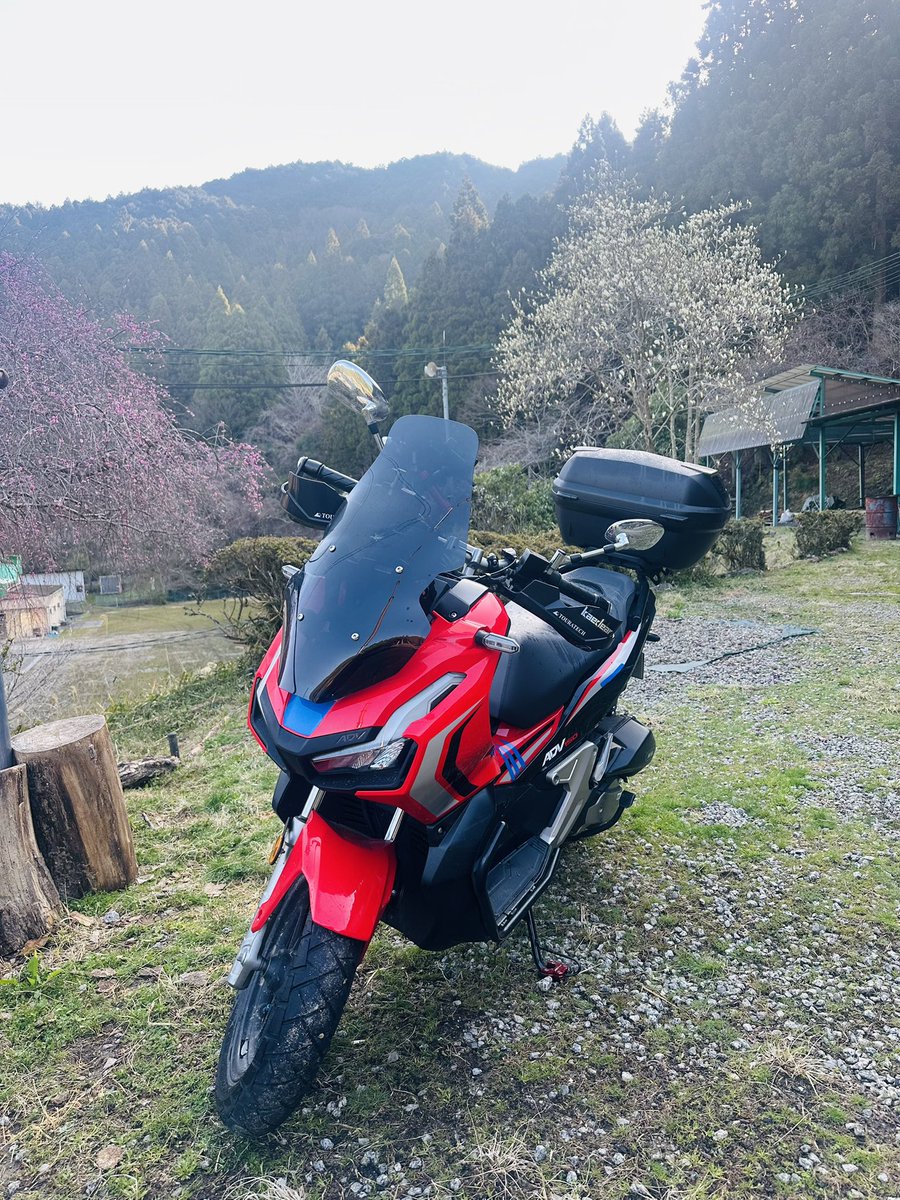 崔領二　(サイリョウジ) tweet media