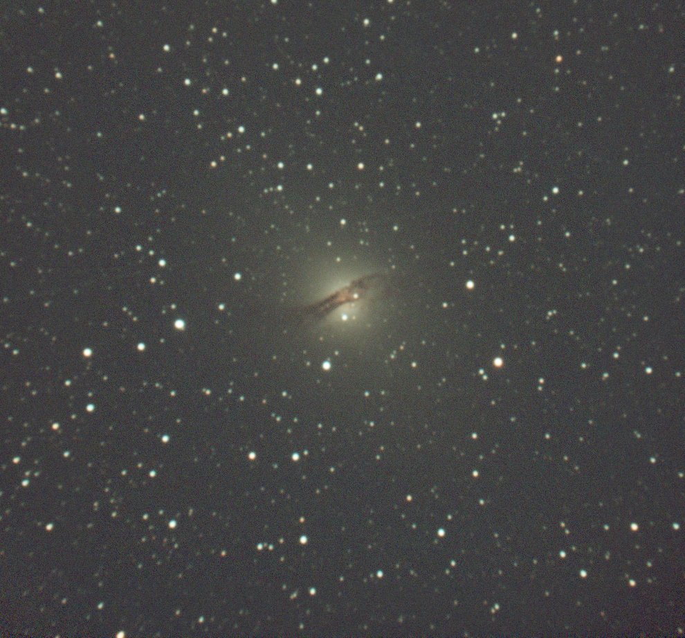 めだかと暮らすひと tweet media