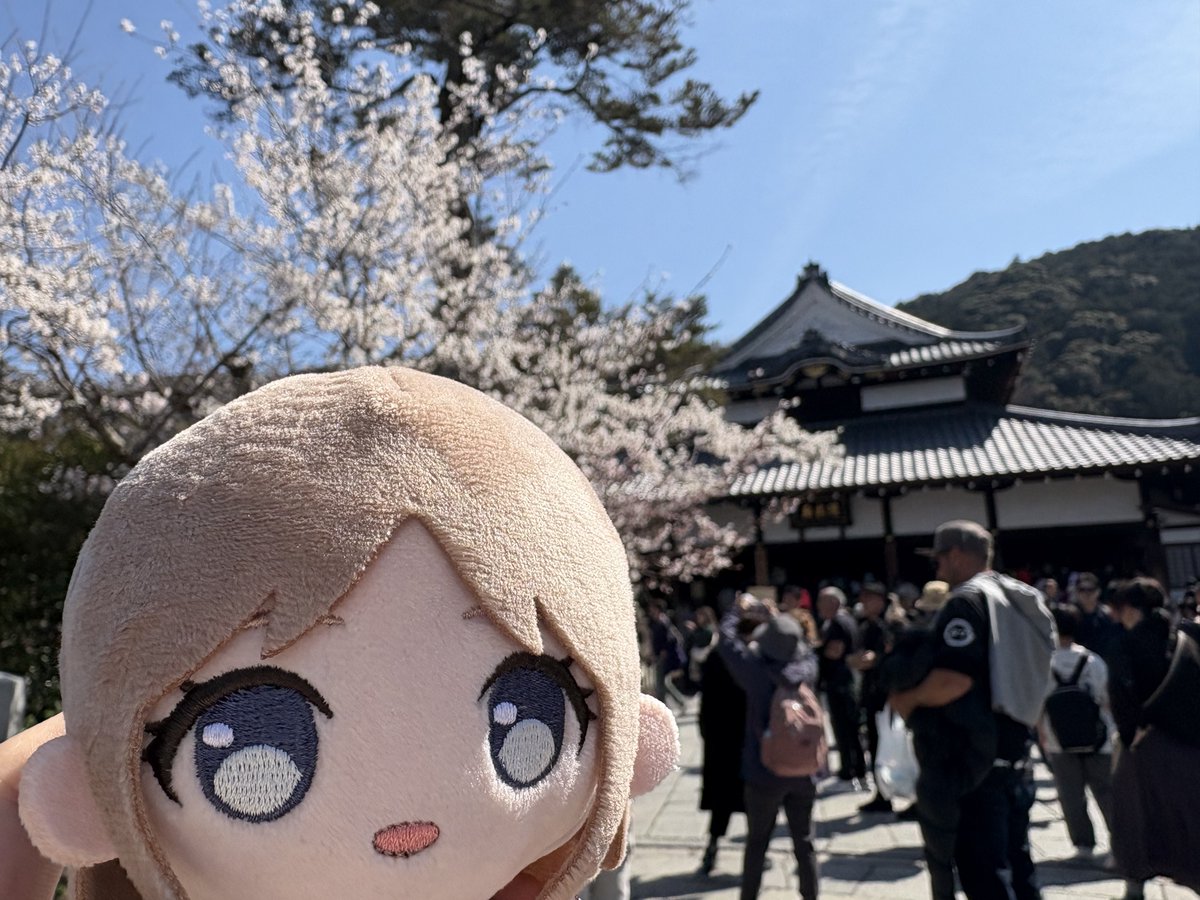 cube_きゅーぶ tweet media