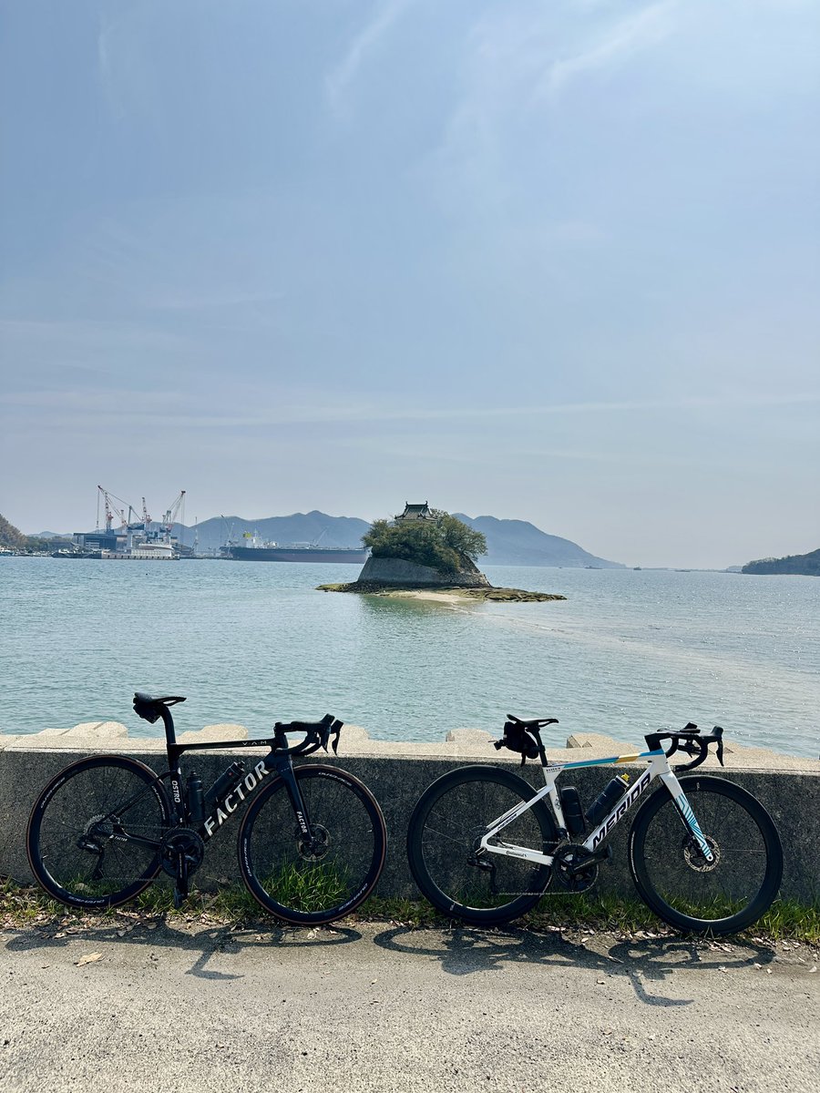 干潮時に歩けるらしい沖ノ観音。あと1時間は待てんかった🙄