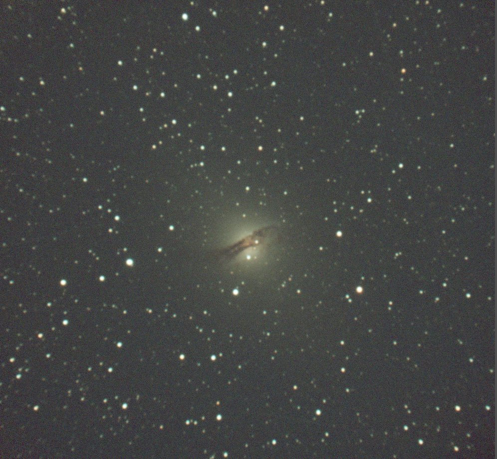 めだかと暮らすひと tweet media