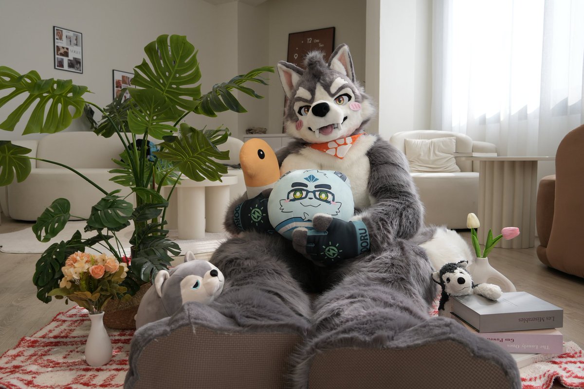 晴海徹 (はるみ とおる) 寫真系Vtuber🔜長毛了 tweet media