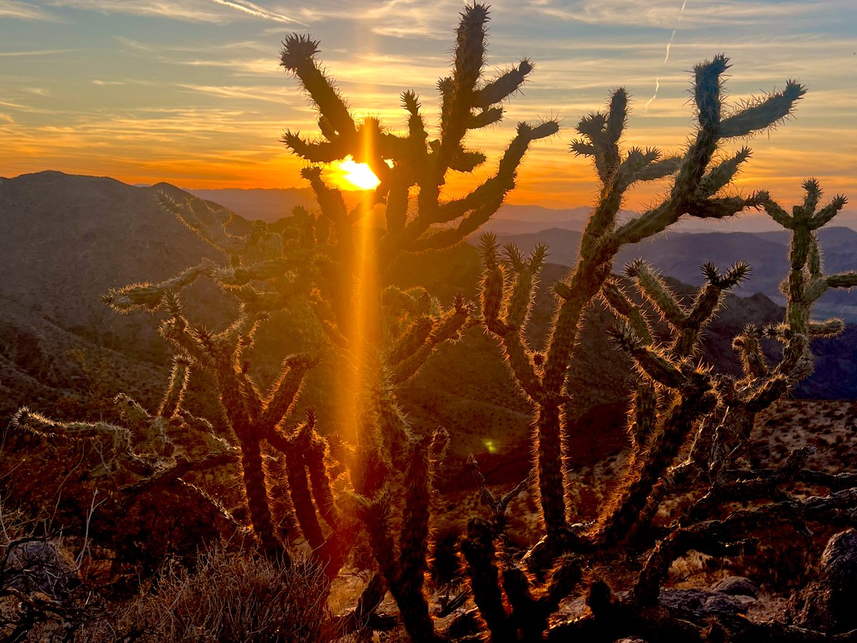 Flawwed1 tweet media