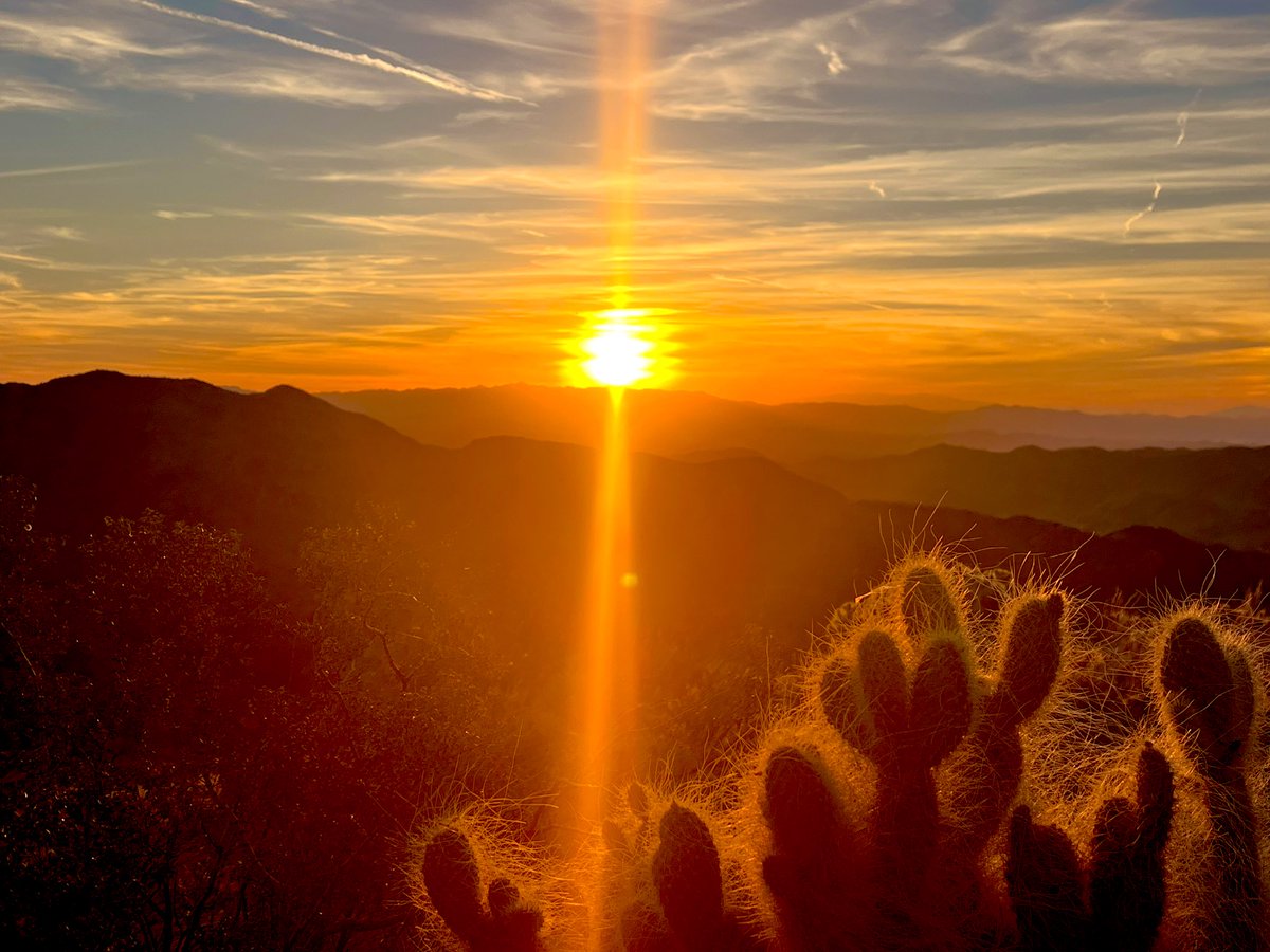 Flawwed1 tweet media