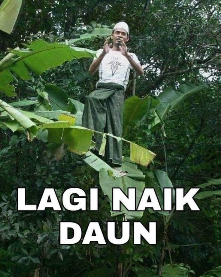 naaa`istp tweet media