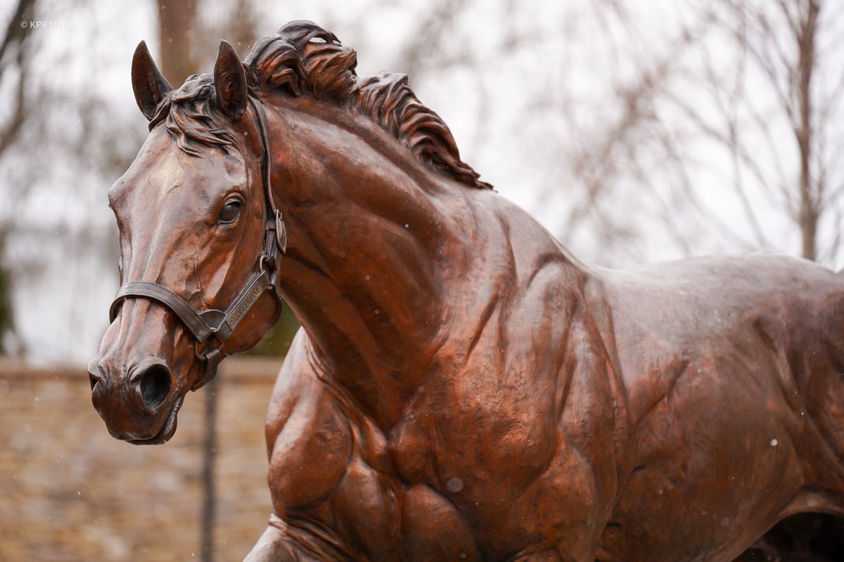 Champs of the Track tweet media