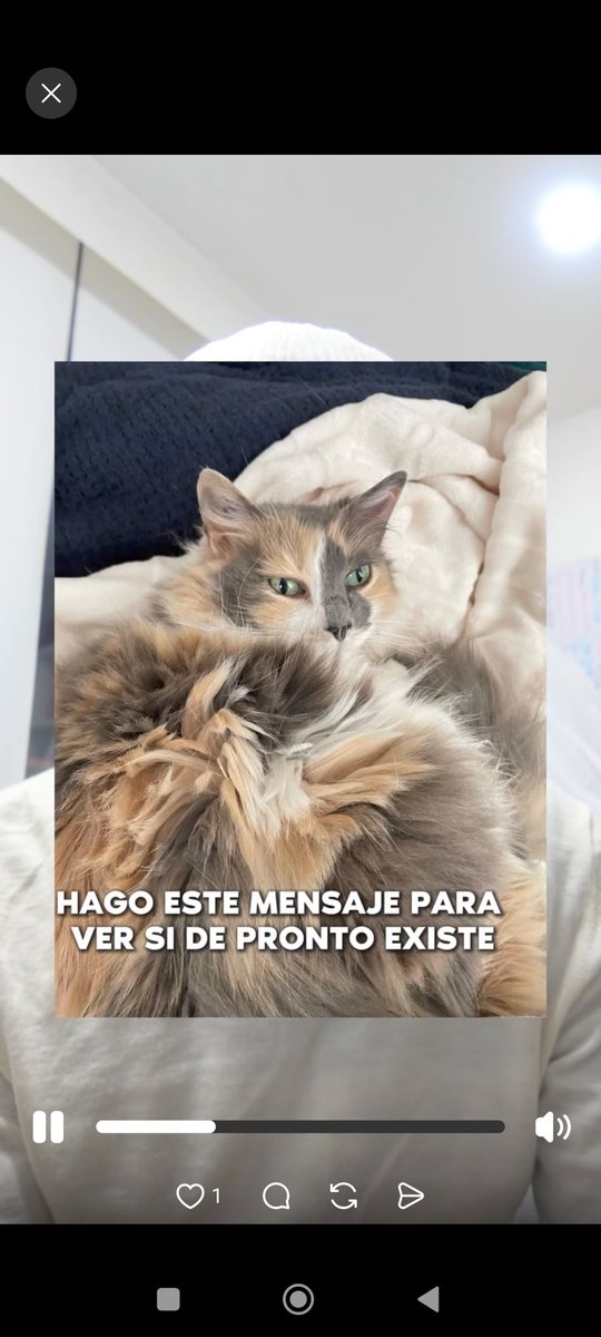 Margarita Vela 🌳🍀🌽🌼 tweet media