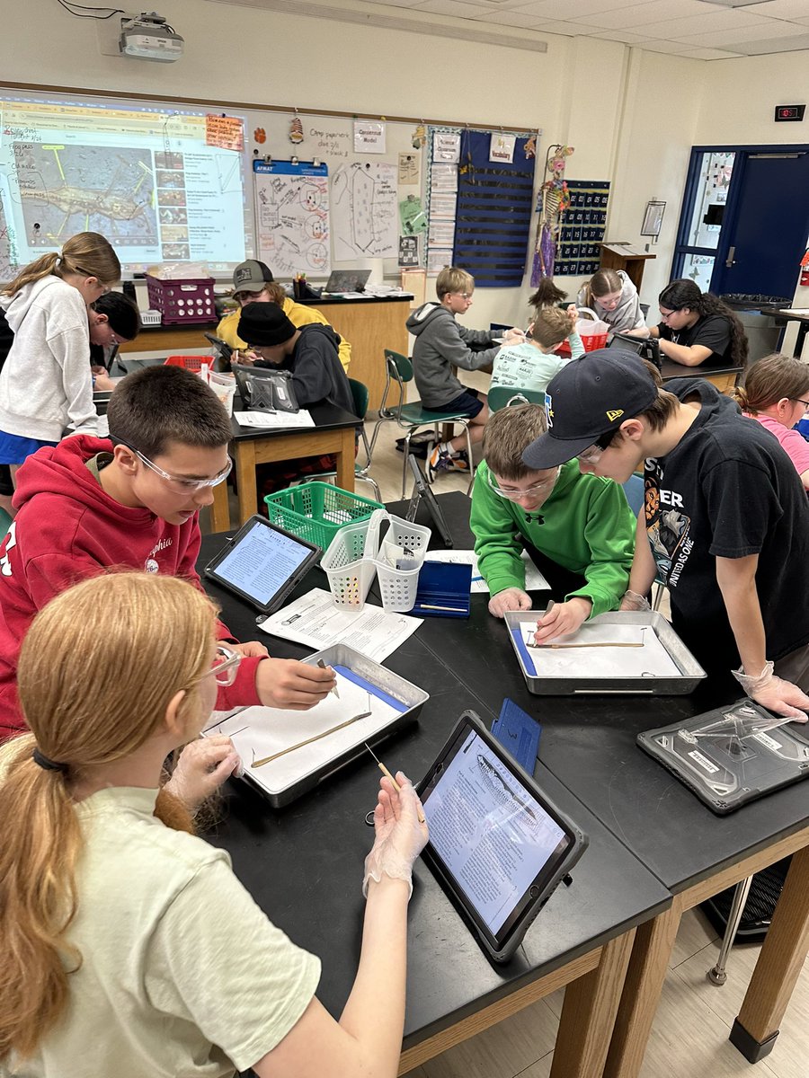 Amanda Deibert tweet media