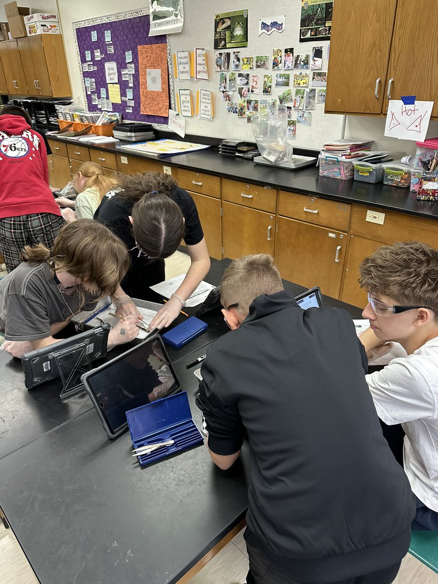 Amanda Deibert tweet media