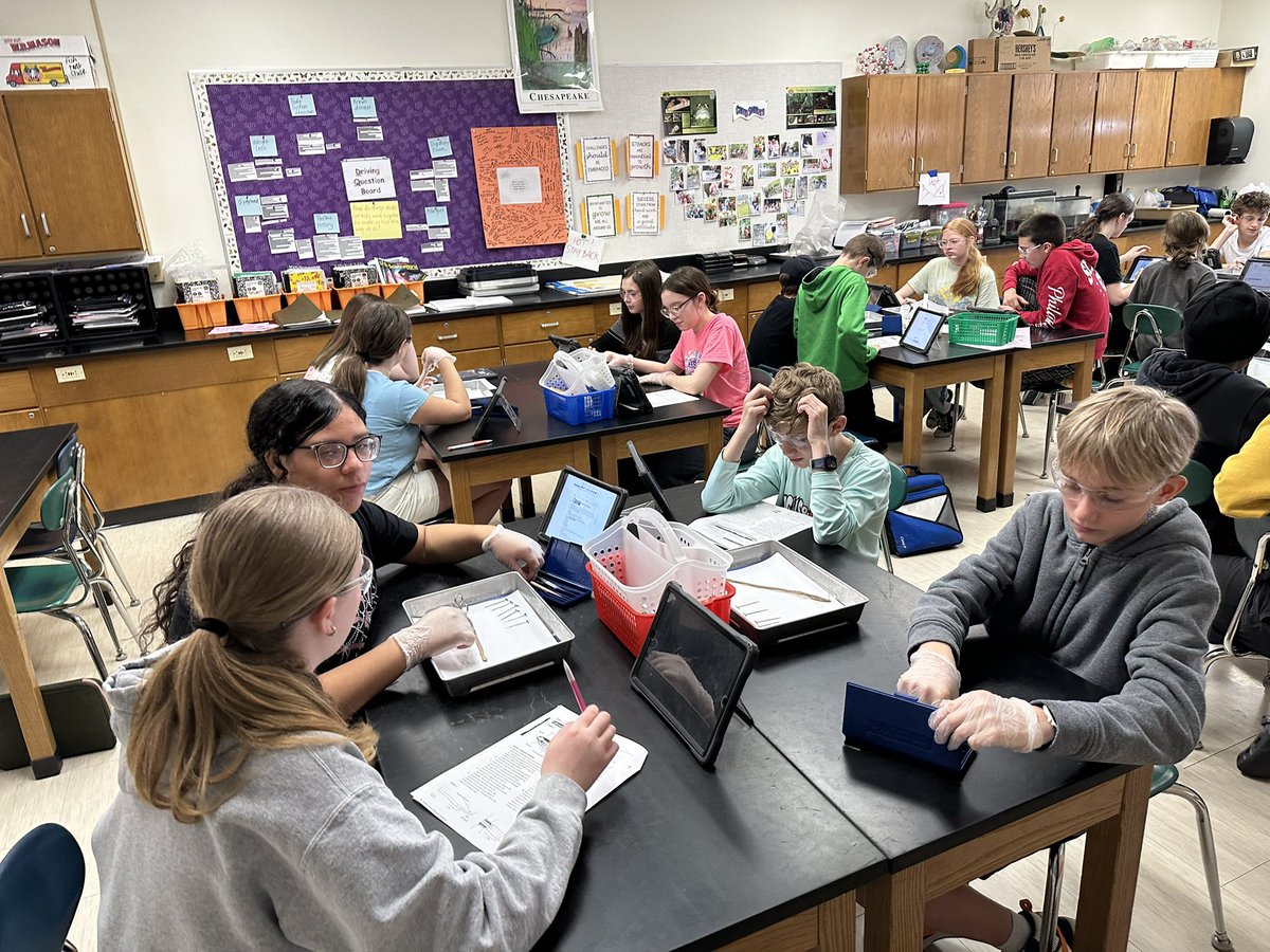 Amanda Deibert tweet media