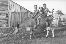 Thirza Peevey tweet media