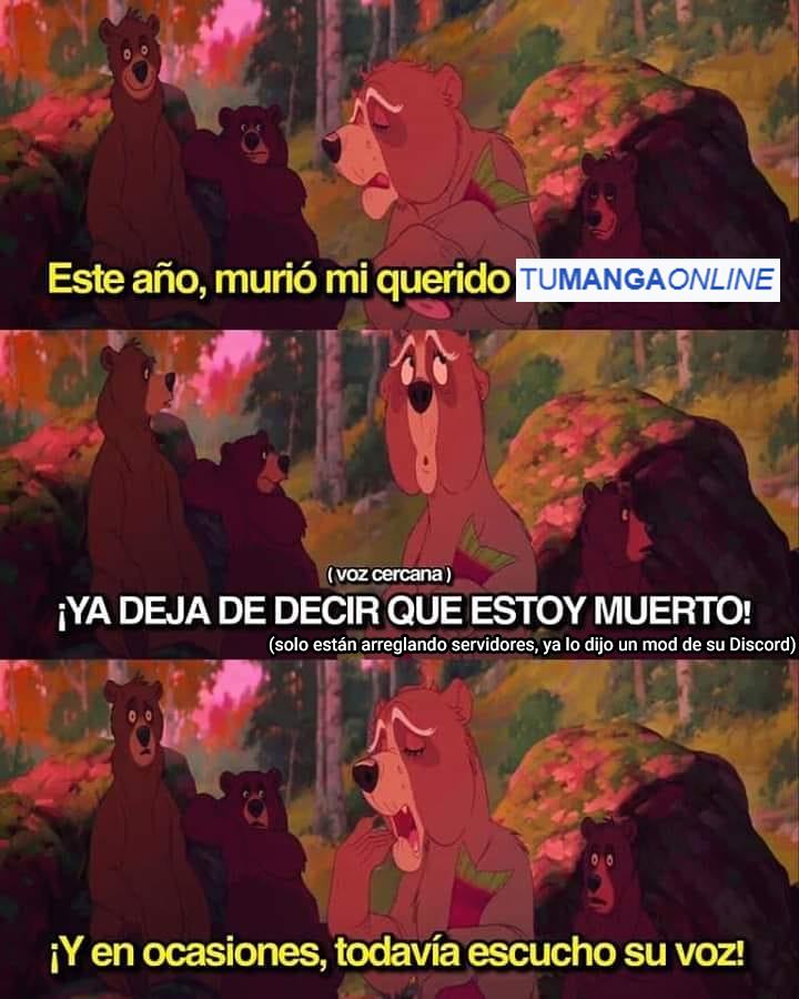 Vizard X tweet media