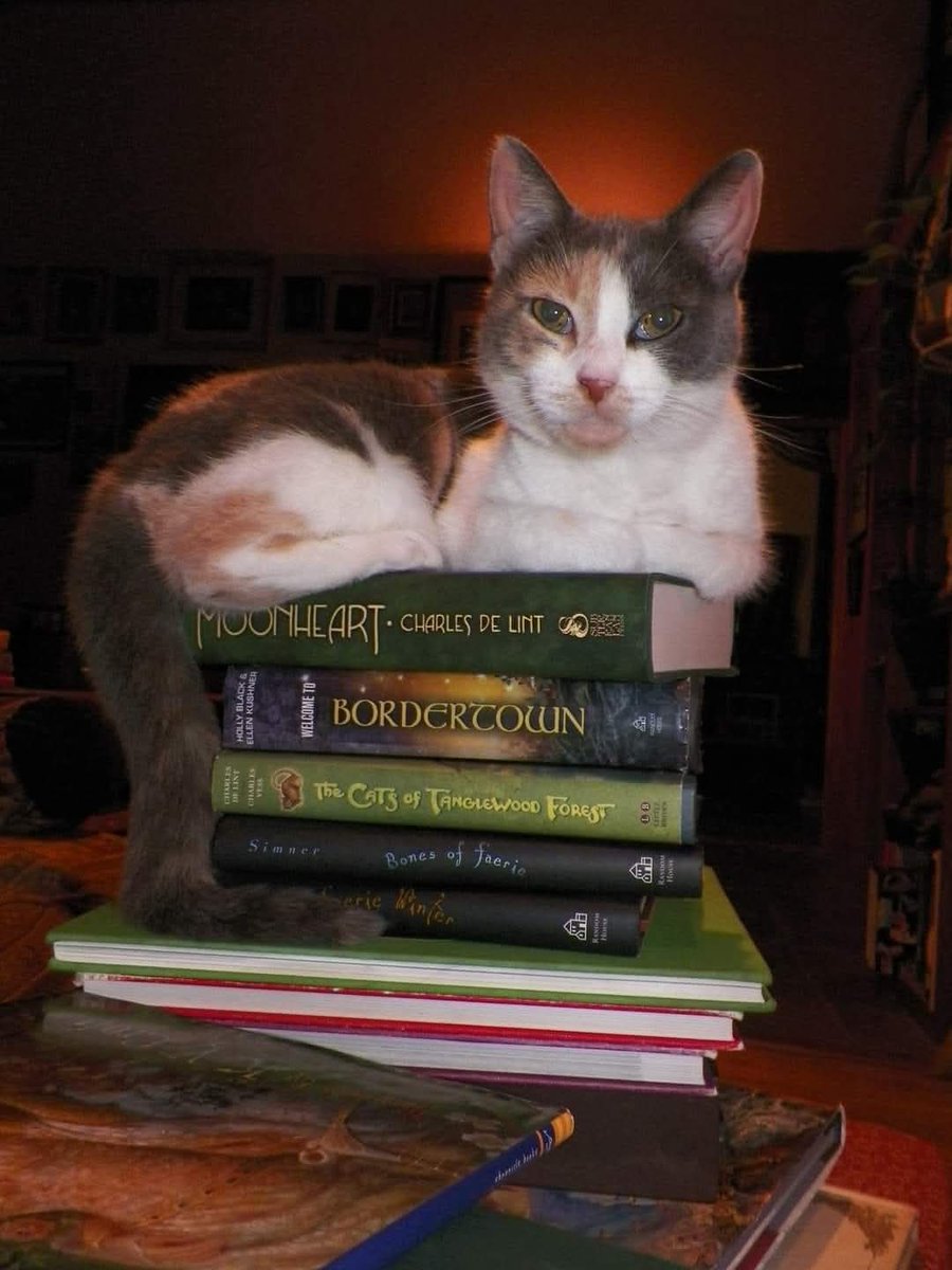 MythicalMasks's tweet photo. @TakeThatNurses Rosie could often be found among the books. She had very good taste in fiction. https://t.co/9O5hbqSqaH
