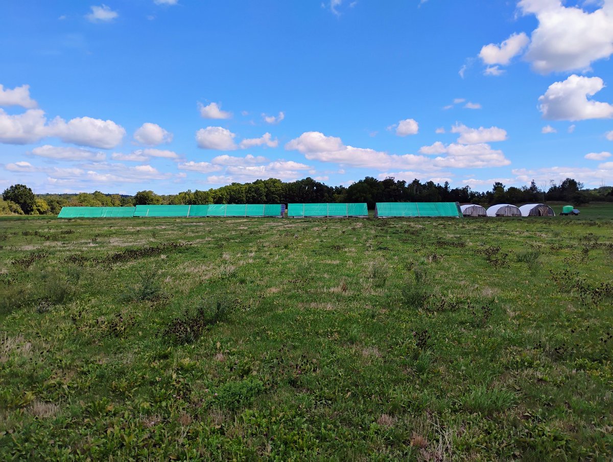 ifarmfresh tweet media