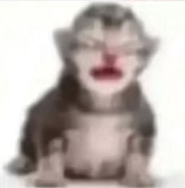 nina 🥤 tweet media