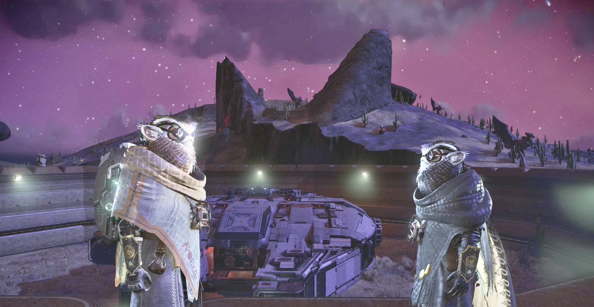 CatEye/Naru tweet media