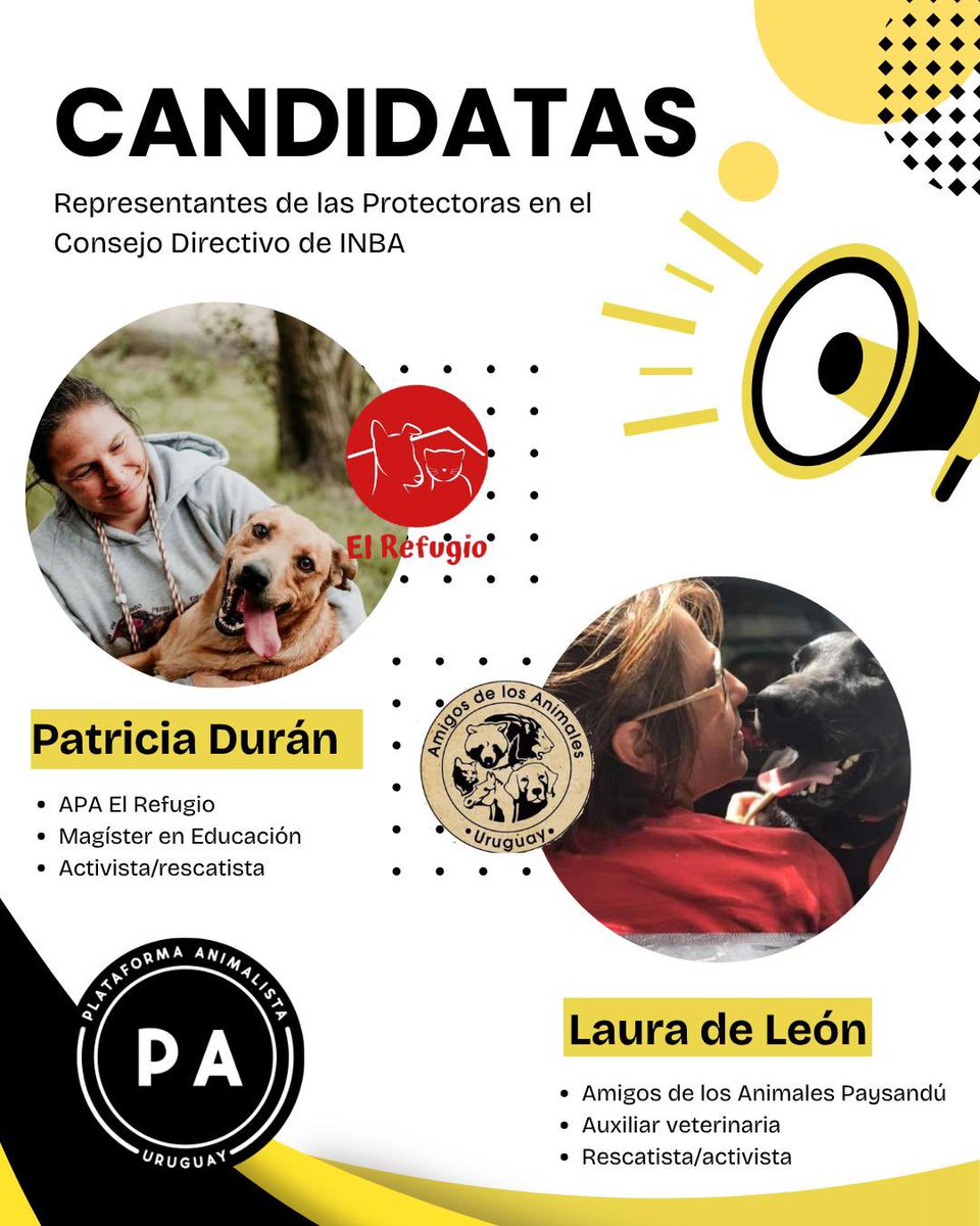 Plataforma Animalista tweet media