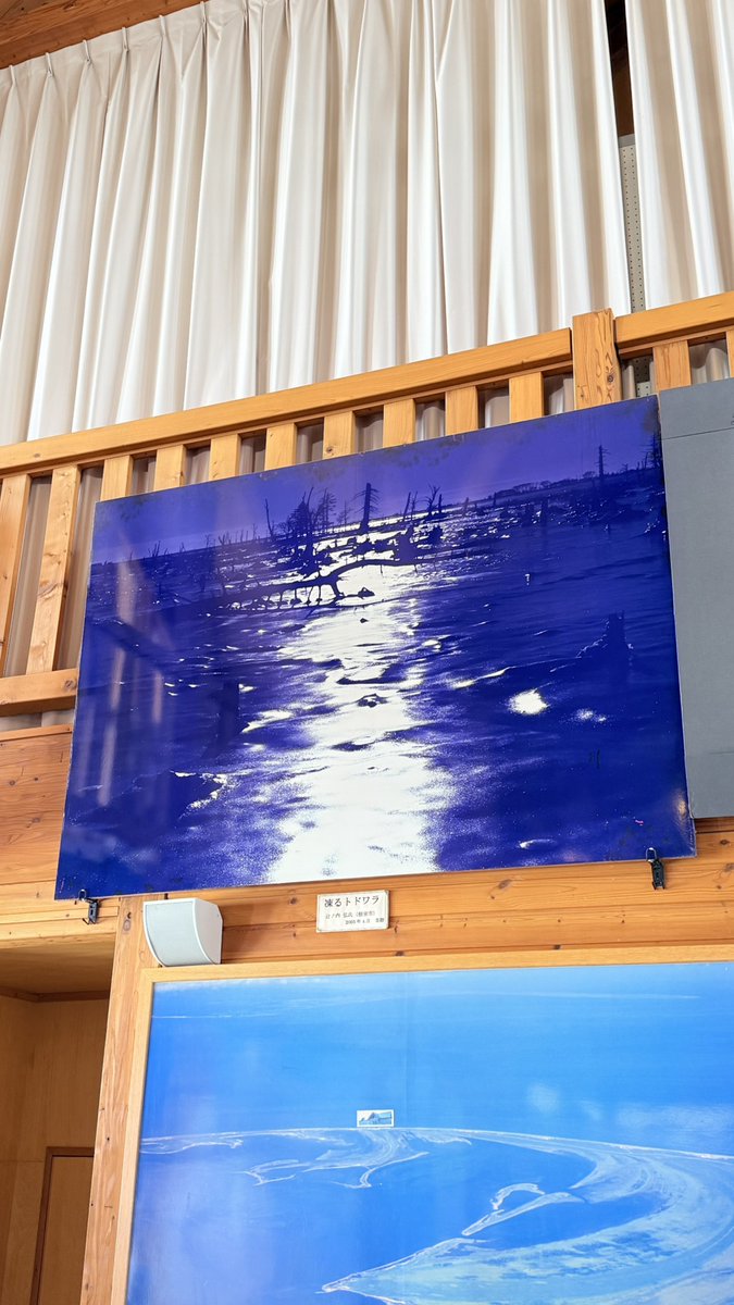 キュンちゃん【公式】 tweet media