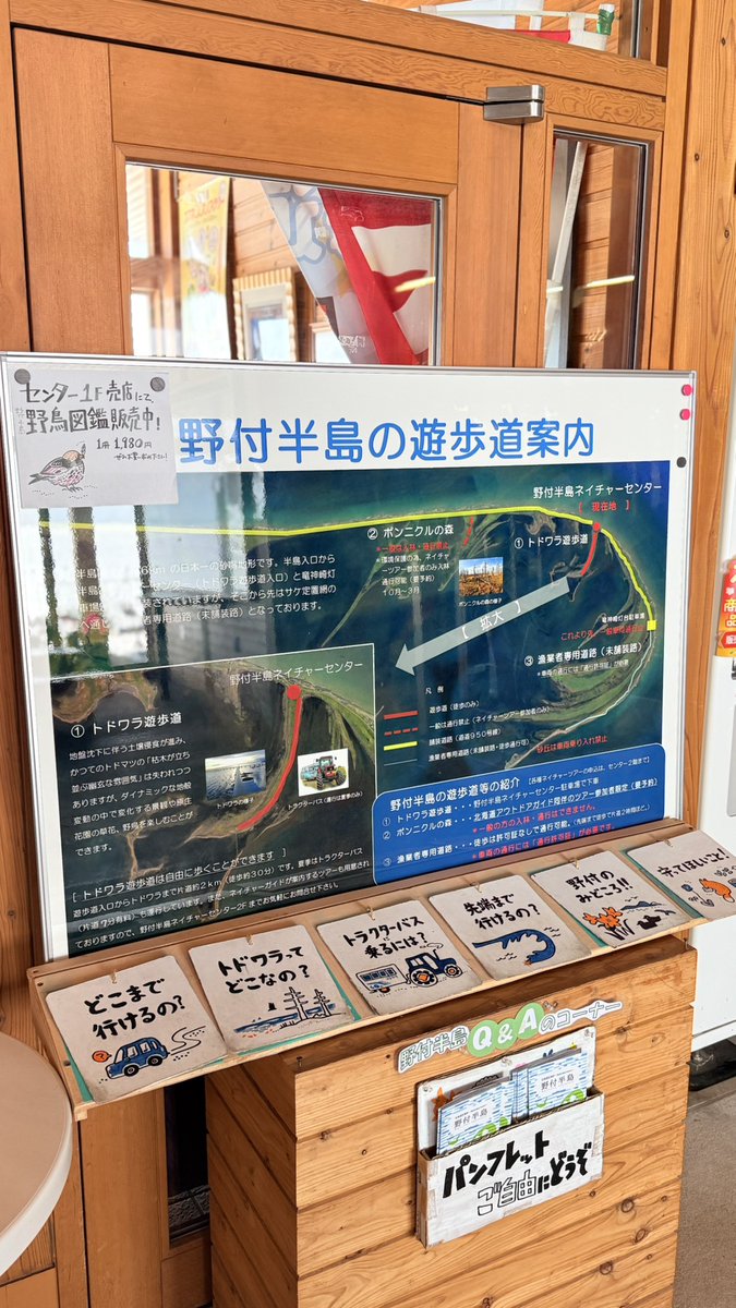 キュンちゃん【公式】 tweet media