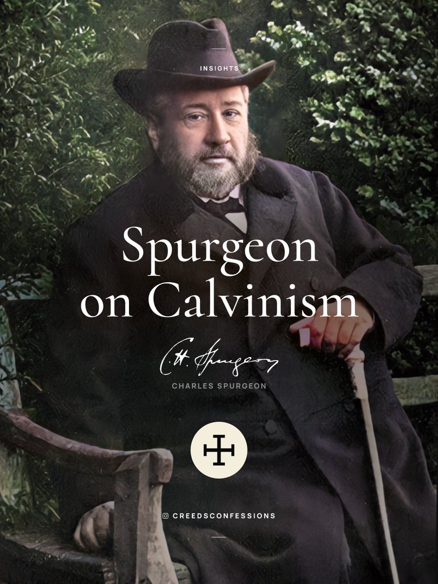 Creeds & Confessions tweet media