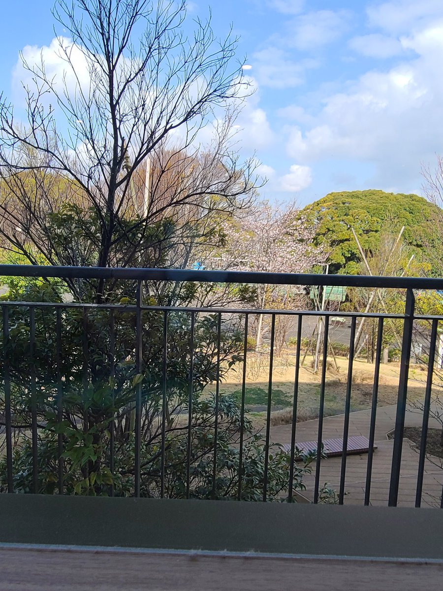 namazukiuke's tweet photo. とりあえず生存報告
今日は3ヶ月に一度の受診日
若干肝臓の数値が芳しくないけどまだ気にするレベルでは無いとのことで終了 https://t.co/RlfuNYhKA5