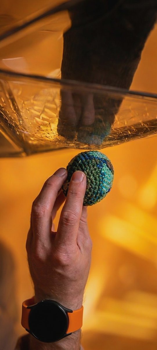 koreanoli tweet media