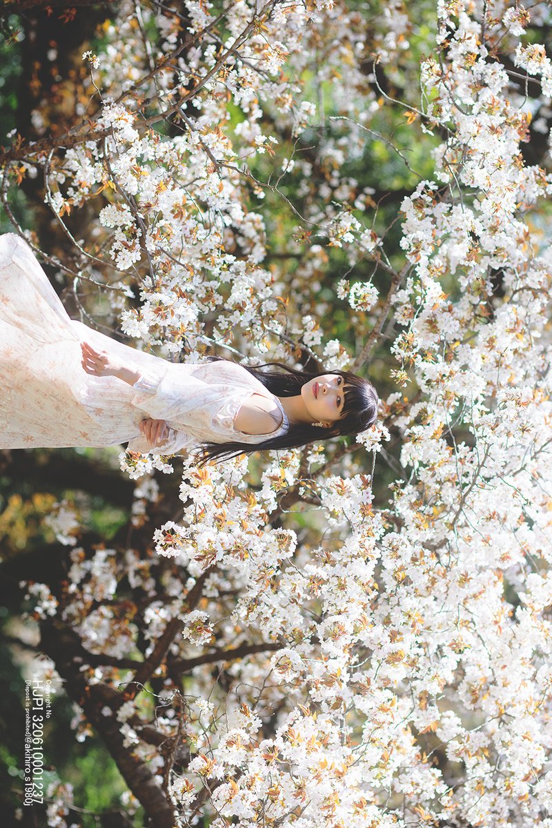 瑛泰　AKIHIRO tweet media