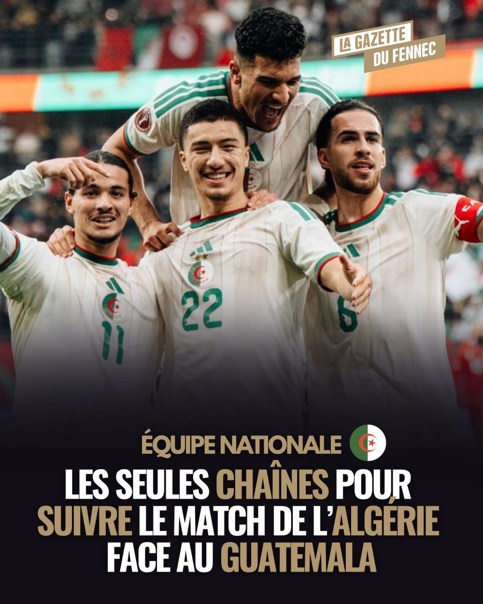 La Gazette du Fennec tweet media