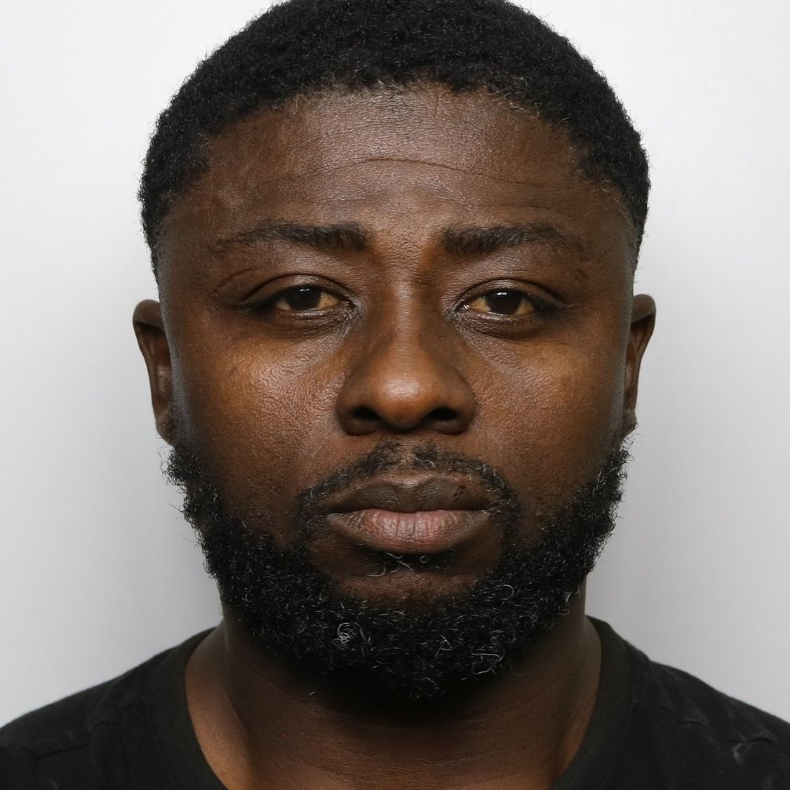 BritMatters 🇬🇧 tweet media