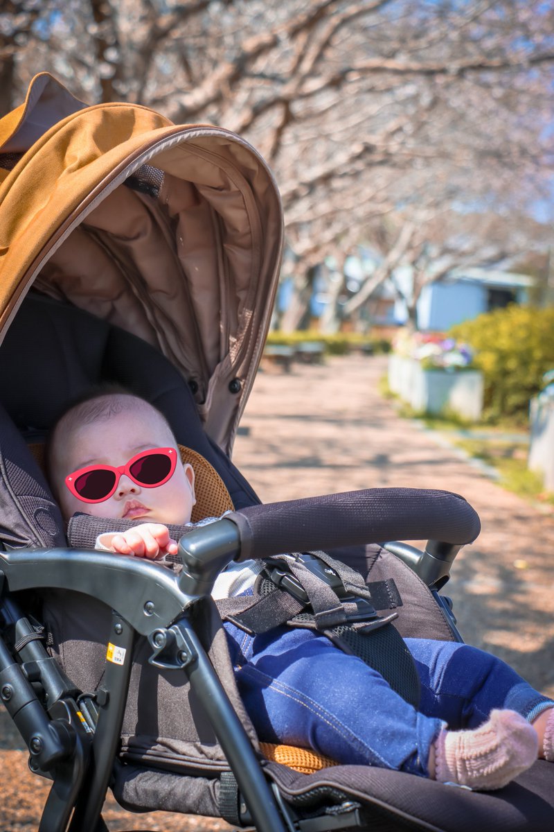 みっちゃん🦑 tweet media