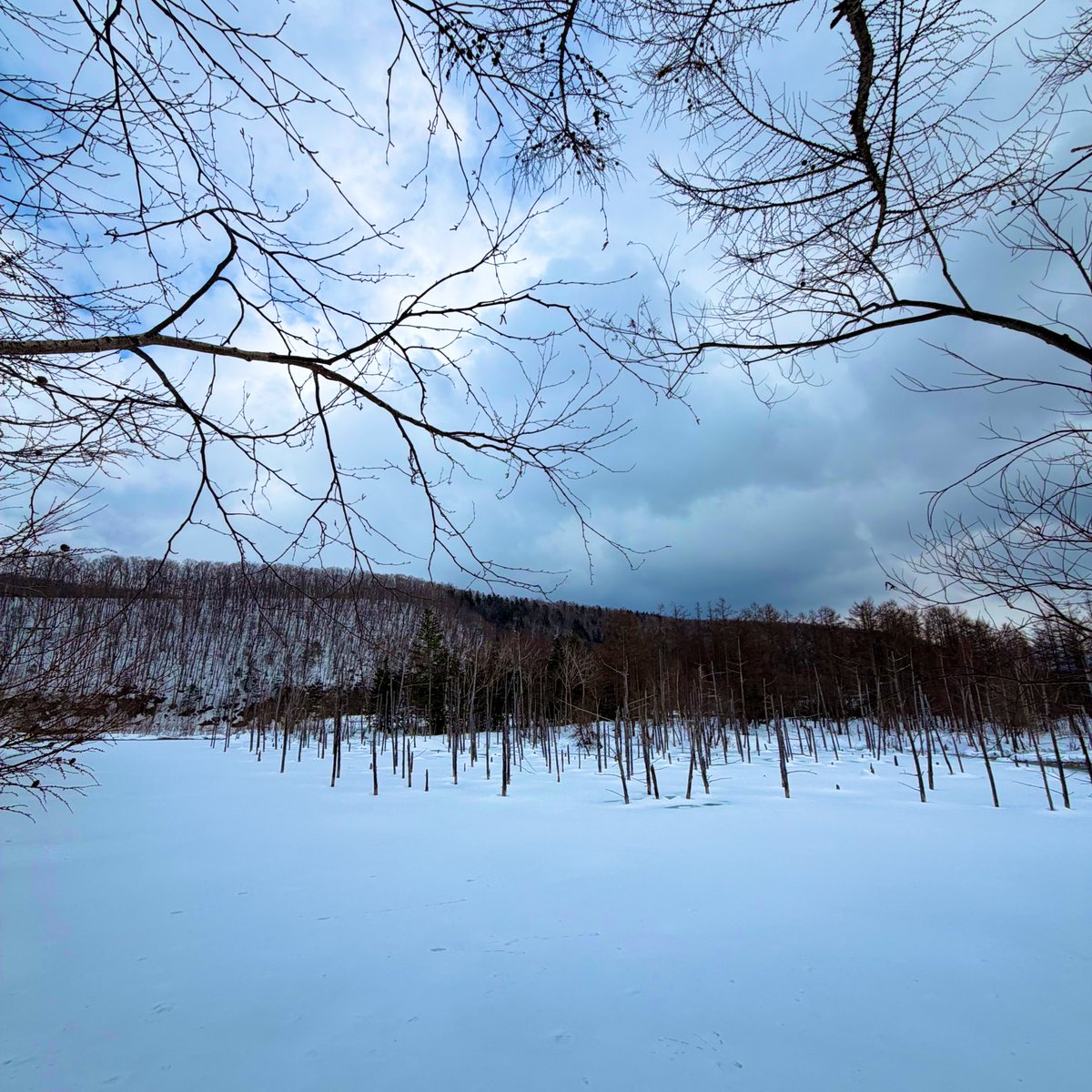 Darth Vader tweet media