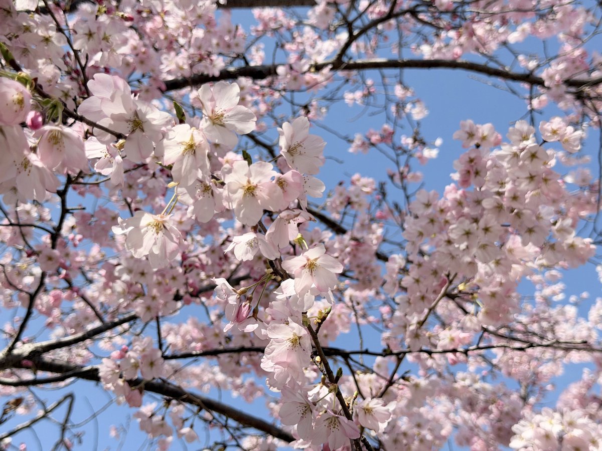 Enjoy EXPO tweet media